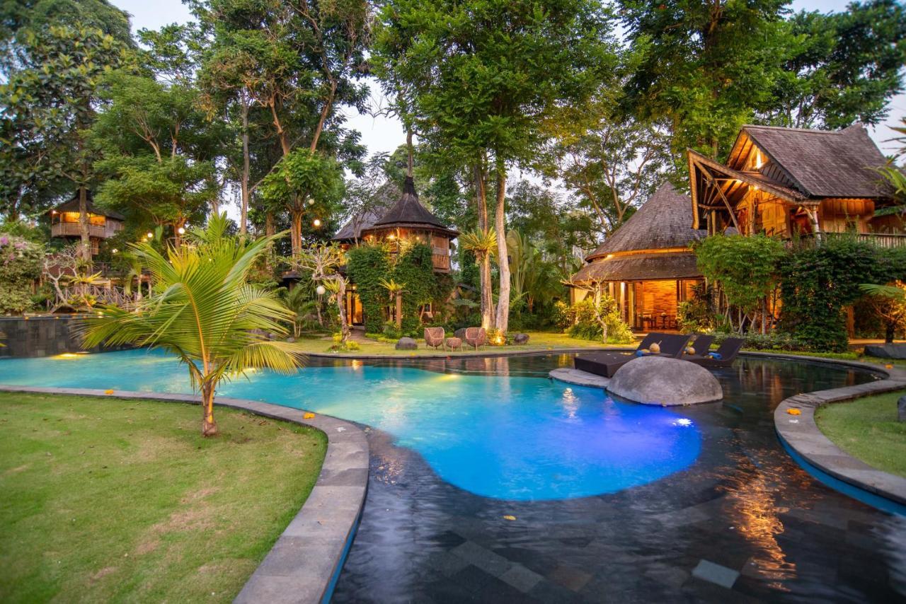 Villa Tree House