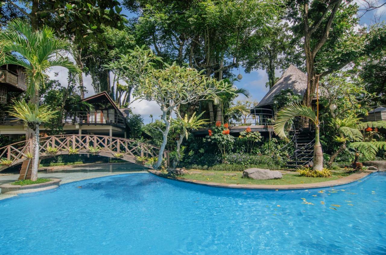 Villa Tree House